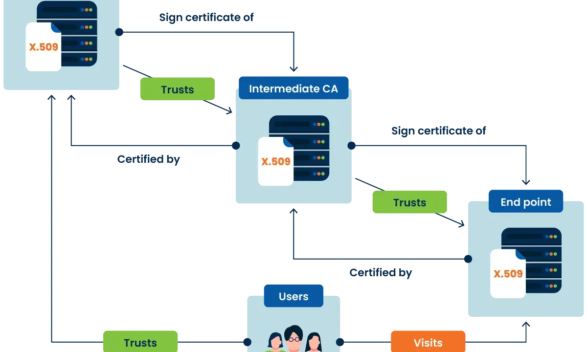 Diagramm zeigt eine Kette des Vertrauens: Root CA zertifiziert Intermediate CA, die Endpunkte und Nutzer zertifiziert.