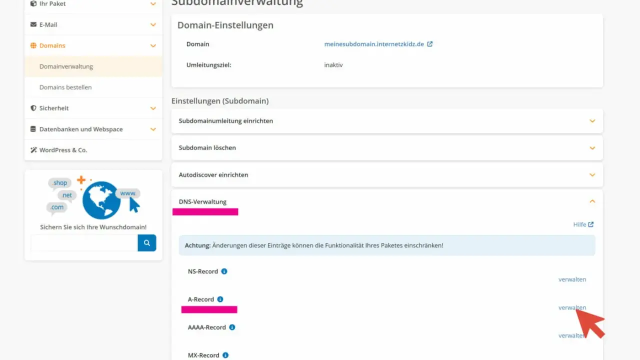 Verwaltung von Subdomain-Einstellungen, DNS-Einträgen und SSL-Zertifikaten für Ihre Domain.