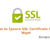 Anleitung: Wie man mit wget ein SSL-Zertifikat ignoriert. Ein grünes Schloss-Symbol mit Häkchen und "SSL Encryption" daneben.
