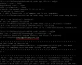 Installation von Certbot auf Ubuntu mit Snap. E-Mail-Adresse für Benachrichtigungen wird eingegeben.