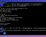 Terminal-Fenster zeigt, wie man ein selbstsigniertes Zertifikat erstellt. OpenSSL-Befehle generieren Schlüssel und Zertifikatsanfragen.