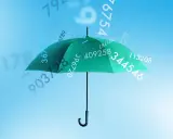 Ein grüner Regenschirm schützt vor fallenden Zahlen. Vielleicht ist das das Geheimnis für ein sicheres Passwort, einmal Passwort.