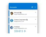 Kontenliste mit Microsoft, Contoso und Facebook-Konten. Ein Azure Password Manager könnte hier nützlich sein.