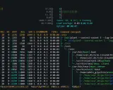 Prozessliste im Terminal, zeigt die Auslastung von CPU und Speicher. Ein Python-Befehl wird ausgeführt.