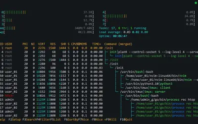 Prozessliste im Terminal, zeigt die Auslastung von CPU und Speicher. Ein Python-Befehl wird ausgeführt.