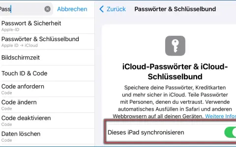 So funktioniert Passkey: Einstellungen zeigen iCloud-Passwörter & Schlüsselbund. Synchronisation für dieses iPad ist aktiviert.