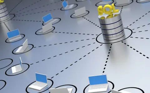 Vernetzte Laptops greifen auf eine SQL-Datenbank zu. Das Bild symbolisiert das Programmieren von Datenbanken in einem Netzwerk.