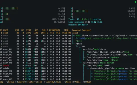 Prozessliste im Terminal, zeigt die Auslastung von CPU und Speicher. Ein Python-Befehl wird ausgeführt.