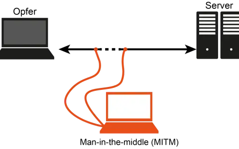 Ein Opfer-Laptop kommuniziert mit einem Server, aber ein dritter Laptop (Man-in-the-middle-Attacke) fängt die Daten ab.