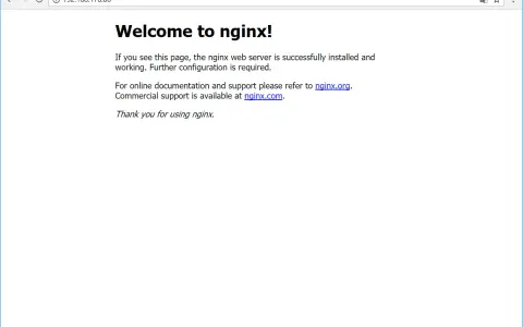 Nach einem Ubuntu-Neustart zeigt der Browser die nginx-Willkommensseite an. Der Webserver ist einsatzbereit.