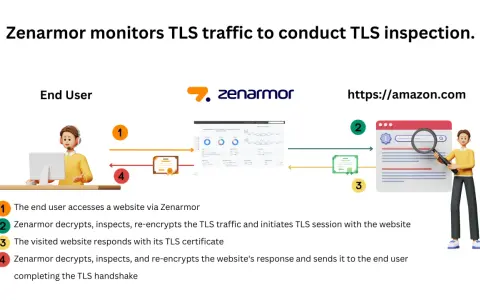 Zenarmor überwacht TLS-Verkehr für Inspektion. Ein Nutzer greift über Zenarmor auf eine Website zu, die mit einem Zertifikat antwortet. Der **curl sni**-Prozess wird hier erklärt.