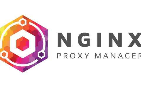 Logo mit einem bunten sechseckigen Muster und dem Text "NGINX PROXY MANAGER".