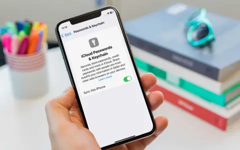 iPhone zeigt Einstellungen für iCloud Passwörter & Schlüsselbund. Sichere Speicherung von Zugangsdaten.