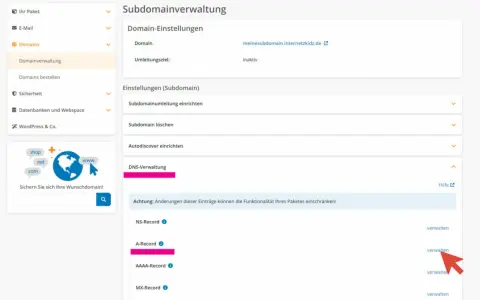 Verwaltung von Subdomain-Einstellungen, DNS-Einträgen und SSL-Zertifikaten für Ihre Domain.