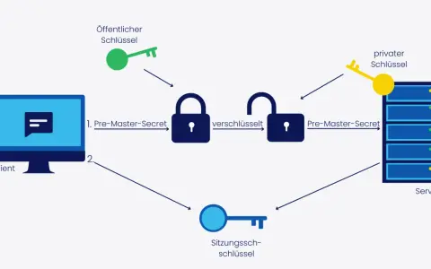 Schema zeigt TLS-Handshake: Client sendet Pre-Master-Secret, Server nutzt privaten Schlüssel. Öffentlicher Schlüssel sichert die Verbindung. wget ignore ssl.