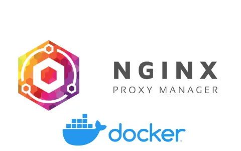 Logos von NGINX Proxy Manager und Docker.