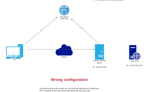 Netzwerkdiagramm zeigt eine fehlerhafte Konfiguration eines nginx redirect. Ein PC fragt DNS ab, sendet HTTP an Reverse Proxy, der die Anfrage nicht weiterleitet.