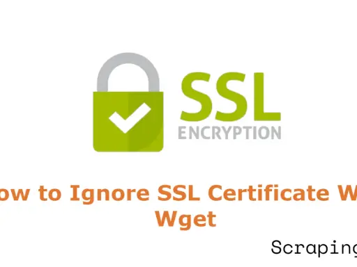 Anleitung: Wie man mit wget ein SSL-Zertifikat ignoriert. Ein grünes Schloss-Symbol mit Häkchen und "SSL Encryption" daneben.