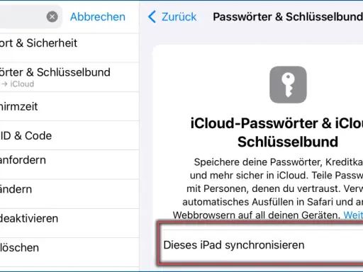 So funktioniert Passkey: Einstellungen zeigen iCloud-Passwörter & Schlüsselbund. Synchronisation für dieses iPad ist aktiviert.