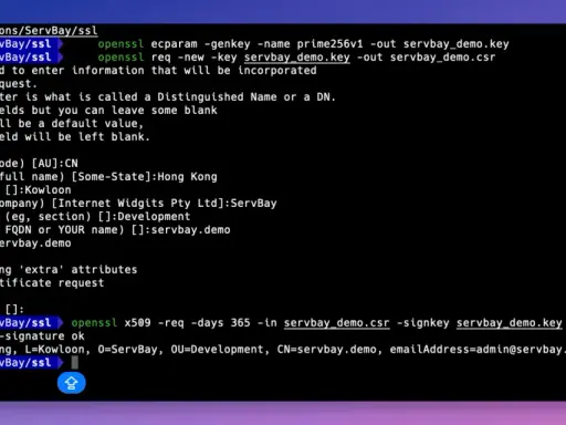 Terminal-Fenster zeigt, wie man ein selbstsigniertes Zertifikat erstellt. OpenSSL-Befehle generieren Schlüssel und Zertifikatsanfragen.