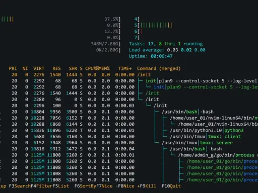 Prozessliste im Terminal, zeigt die Auslastung von CPU und Speicher. Ein Python-Befehl wird ausgeführt.