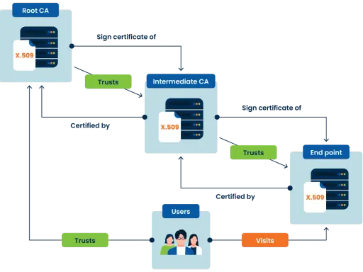 Diagramm zeigt eine Kette des Vertrauens: Root CA zertifiziert Intermediate CA, die Endpunkte und Nutzer zertifiziert.