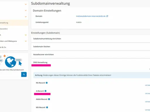 Verwaltung von Subdomain-Einstellungen, DNS-Einträgen und SSL-Zertifikaten für Ihre Domain.