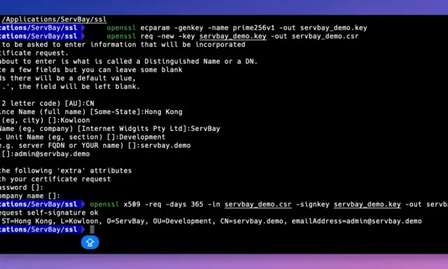 Terminal-Fenster zeigt, wie man ein selbstsigniertes Zertifikat erstellt. OpenSSL-Befehle generieren Schlüssel und Zertifikatsanfragen.