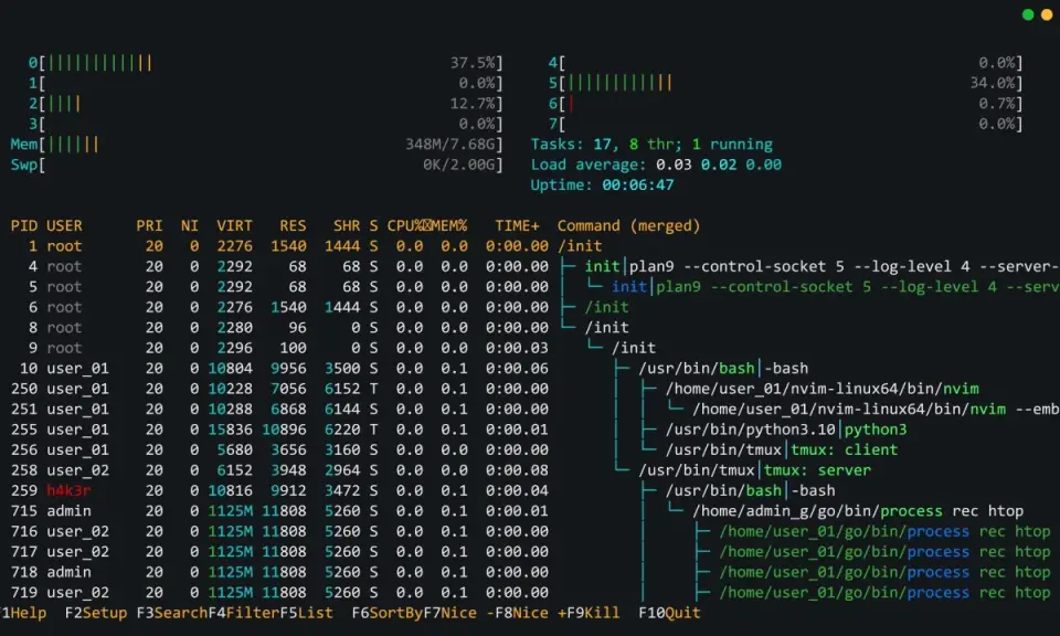 Prozessliste im Terminal, zeigt die Auslastung von CPU und Speicher. Ein Python-Befehl wird ausgeführt.