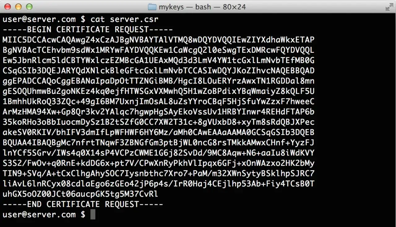 Ein Terminal zeigt den Befehl zum Erstellen eines selbstsignierten Zertifikats.
