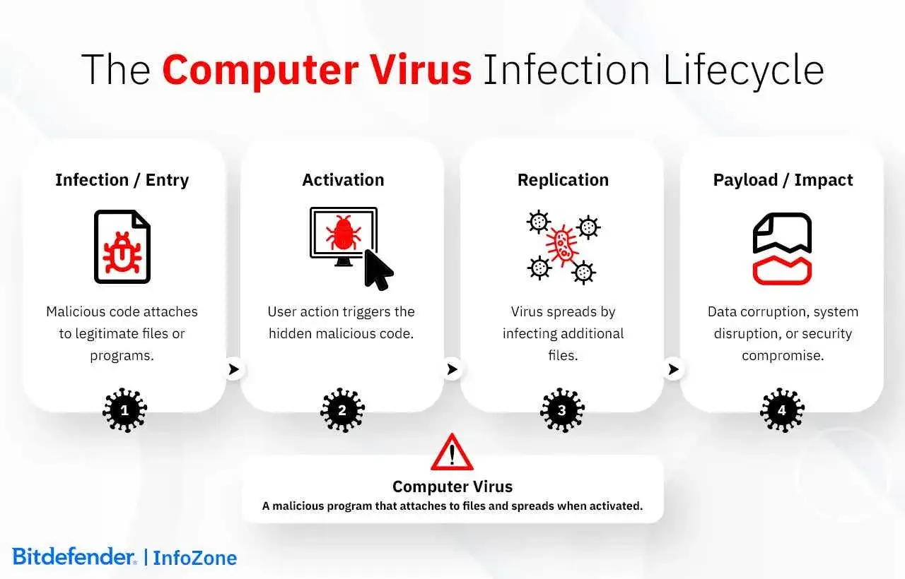 Der Lebenszyklus eines Computer-Virus: Infektion, Aktivierung, Replikation und Auswirkung. So wird ein Virus eingefangen.