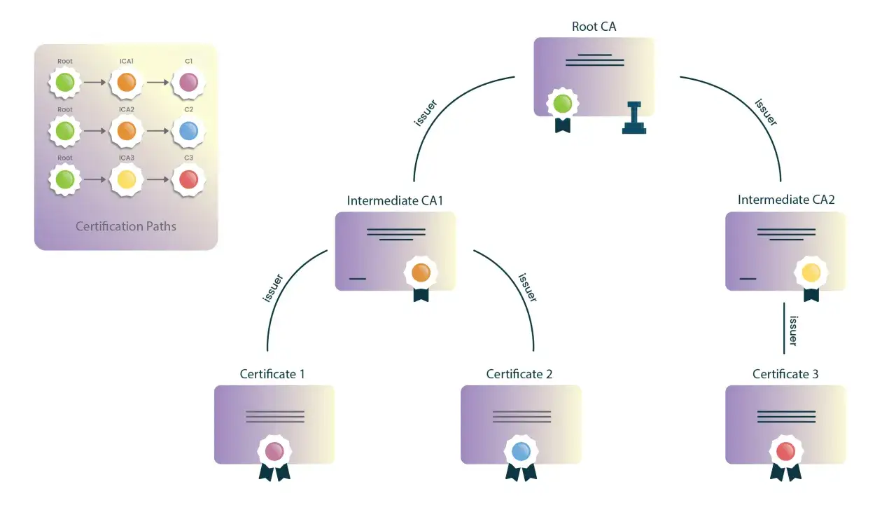Zertifikatswege: Root CA stellt Intermediate CA1 und CA2 aus, die wiederum Zertifikate ausstellen. Ein cert sh-Diagramm.