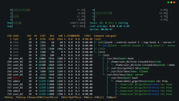 Prozessliste im Terminal, zeigt die Auslastung von CPU und Speicher. Ein Python-Befehl wird ausgeführt.