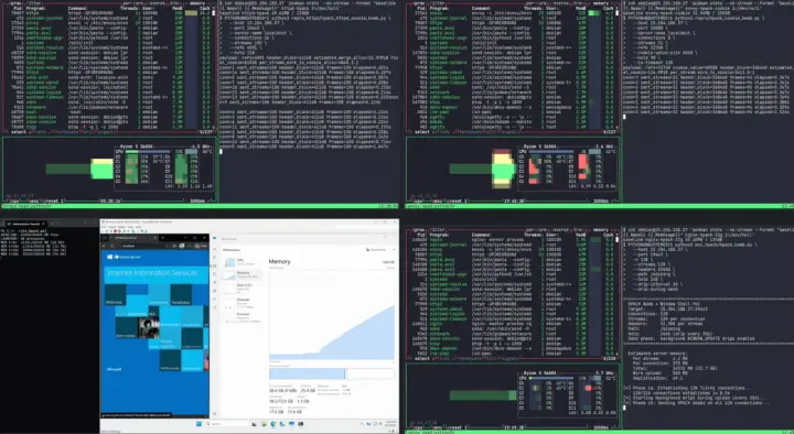 Mehrere Terminals zeigen die Ausführung von nginx for Windows, Systeminformationen und die Auslastung der CPU.